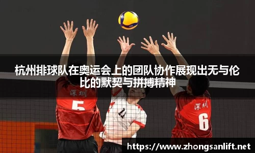 杭州排球队在奥运会上的团队协作展现出无与伦比的默契与拼搏精神